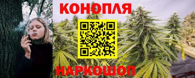 мяу мяу мука Гусев